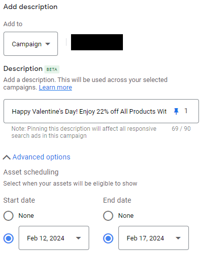 Setting up a description asset on Google Ads