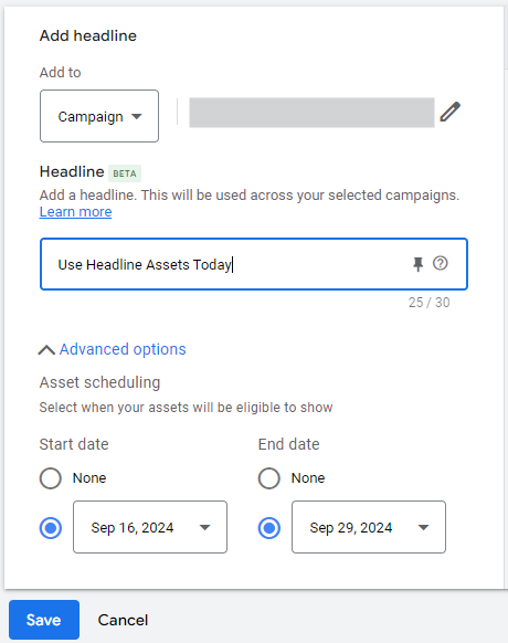 Use headline and description assets to test new messaging